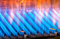 Rosedale gas fired boilers